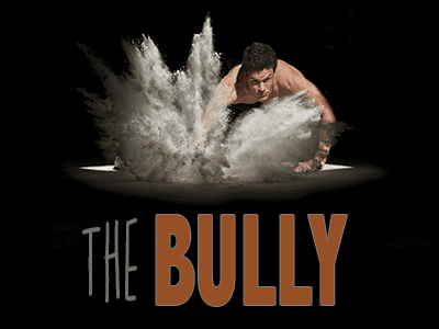 video on the bully and the effects of bullying on victims...learn how to stop being bullied in middle and high school at work by adults.